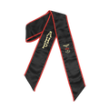 Alpha Eta Rho Graduation Stole