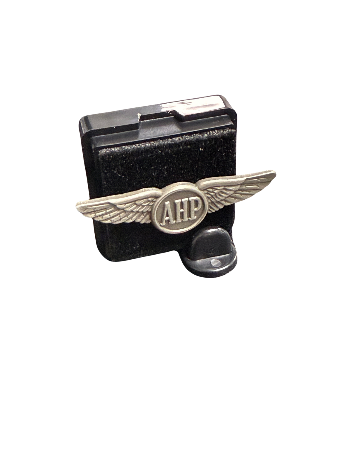 Alpha Eta Rho Wings Pin