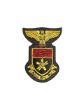 Alpha Eta Rho Iron On Patch